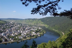 Mosel bei Traben-Trarbach.JPG